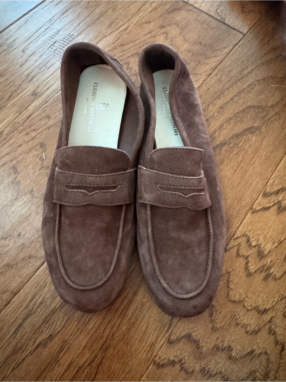Clorinda Antinori Suede Penny Loafers in Brown